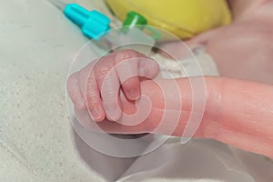 Hand of premature newborn baby with pleural cavity drainage hold her mother finger