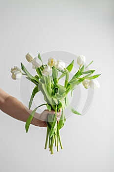 Hand Presenting a Bouquet of White Tulips. Greeting Postcard