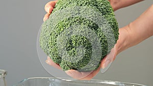 Hand presents a head of broccoli, emphasising the human element in choosing fresh, healthy produce. Personal health