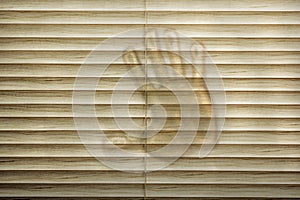 Hand print on closed blinds