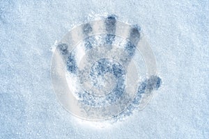 Hand print in snow