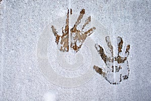 Hand Print In The White Snow