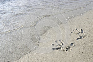 Hand prints in the sand