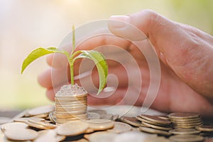 Hand protect money stack with plant growing on coins. saving money coins, Hands that are taking care of trees on coins, concept