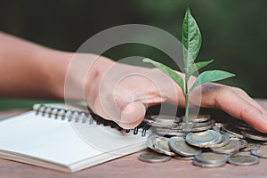 Hand protect money stack with plant growing on coins. saving money coins, Hands that are taking care of trees on coins, concept