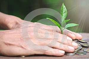 Hand protect money stack with plant growing on coins. saving money coins, Hands that are taking care of trees on coins, concept