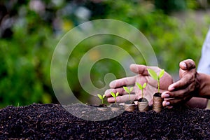 Hand protection money coins like growing graph,plant