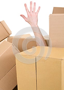 Hand protruding from pile box