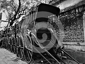 Hand-pulled rickshaw is one of Kolkata`s most well recognised symbols. photo