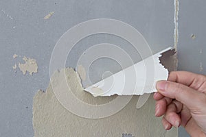 Hand pulling peeling old wallpaper off a plasterboard wall