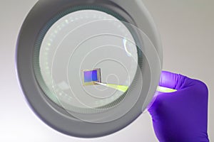 Hand in purple glove holdingsensor matrix microchip with pair of tweezers under magnifying glass . Focus on chip
