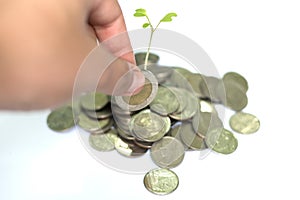 Hand put coins to stack of coins on white background.