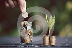 Hand put money coins to stack of coins. Plant growing from coins outside glass jar on blurred green natural background for