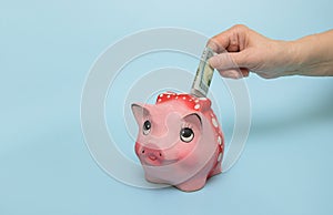 hand puts a banknote in a piggy bank