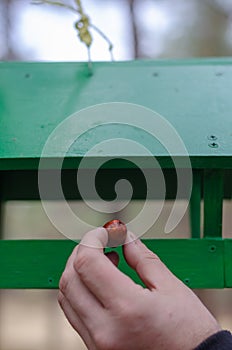 Hand puts food in Green wooden feeder for wild birds and animals