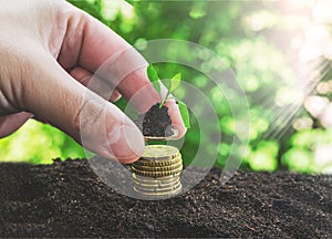 Hand putting coin on coin stack growing graph with green bokeh background,investment concept.tree growing on coin,Business Finance