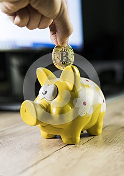 Hand putting golden bitcoin in to piggy bank money box with a computer on background. Cryptocurrency investment concept