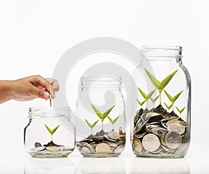 Hand putting Golden coins and seed in clear jar ov