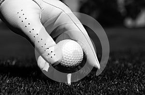 Hand putting golf ball on tee in golf course. Golf ball in grass. Golf ball on tee ready to be shot.