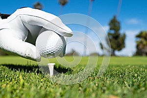 Hand putting golf ball on tee in golf course. Golf ball in grass. Golf ball on tee ready to be shot.