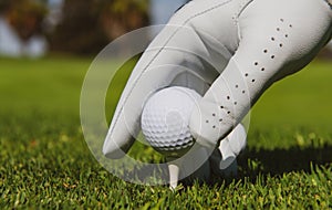 Hand putting golf ball on tee in golf course. Golf ball in grass. Golf ball on tee ready to be shot.