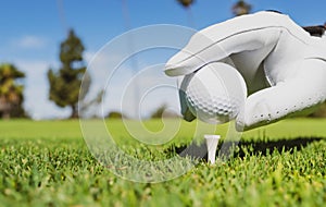 Hand putting golf ball on tee in golf course. Golf ball in grass. Golf ball on tee ready to be shot.