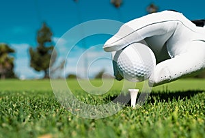 Hand putting golf ball on tee in golf course. Golf ball in grass. Golf ball on tee ready to be shot.