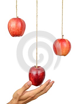 Hand reach to grab the hanging apple.