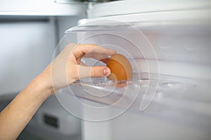 Hand Reaching for the Last Egg in the Refrigerator
