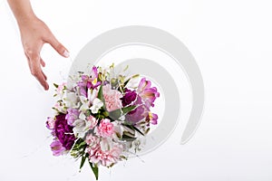 Hand receiving a pastel bouquet from pink and purple gillyflowers and alstroemeria on white