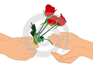 Hand and red flower on isolated white background