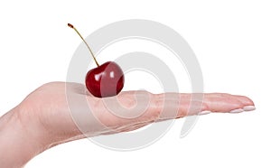 Hand with red ripe cherry with stem. Isolated on white background