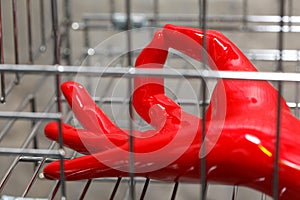 Hand in red rubber glove inside chrome cage