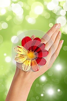 Hand with red and yellow flower