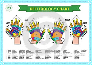 Hand reflexology chart