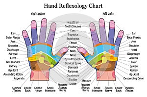 Hand reflexology chart description