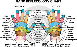 hand Reflexology Chart, Planter, Dorsal, Medial & Lateral Map colorful