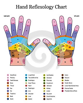 Hand Reflexology Table Listing