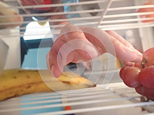 Hand in the refrigerator Food Vegetables photo