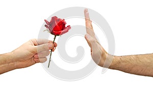 Hand refuses a flower or declines gift isolated on