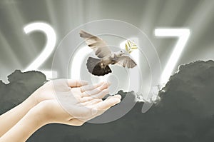 Hand releasing a bird into the air on sky 2017 background happy