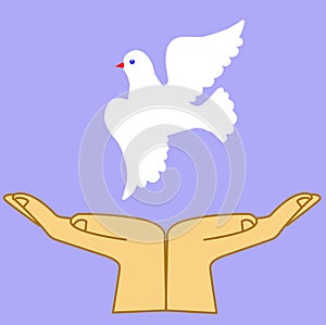 Hand releasing dove