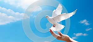 Hand releasing a white dove in a blue sky. Generative AI
