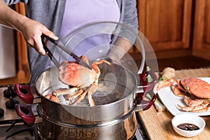 Hand removing cooked crab from steam pot