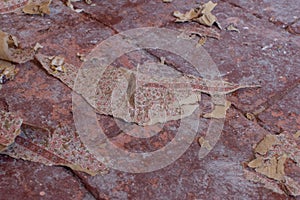 Hand removing wallpaper from wall, close-up view