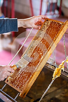 Hand removing wax from honey frame full of honey with beekeeping fork. Honey and beekeeper work background