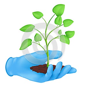 Hand in a rubber glove holding soil with a young green plant with leaves. Ecology concept of environmental protection. Vector