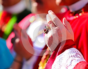 hand with ruby ring of the cardinal dressed in red during the blessing