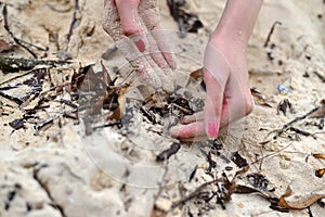 Hand and Sand