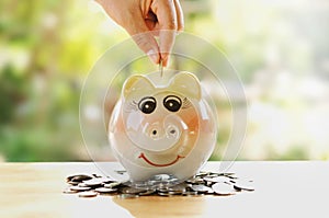 Hand save piggy bank and stack money growing